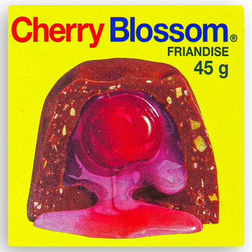 Cherry Blossom Chocolate